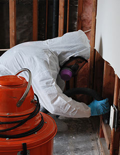 Commercial Mold Remediation & Removal
